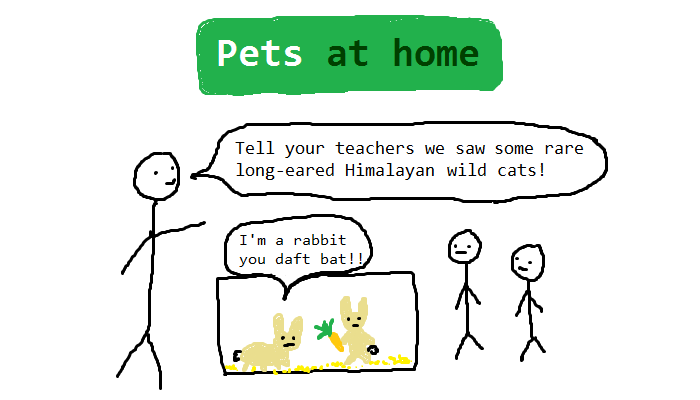pets at home2